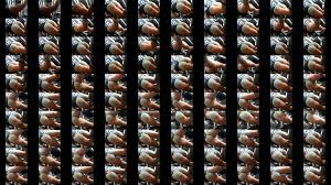 Sem perceber - XNXX.COM