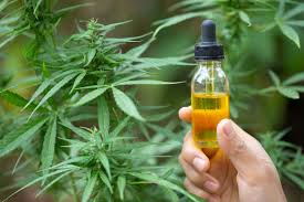 study finds cbd can cause