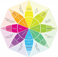 How A Film Color Palette Can Make You A Better Filmmaker W