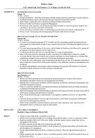 branch manager resume samples velvet jobs