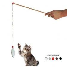 Kedi Urunleri Kedi Aksesuarlari Veya Oyuncaklarimi Ariyorsunuz Kedi Evcil Hayvanlar Hayvan
