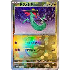 Image result for Diaphananthe sp.no.1. (Ball 657)