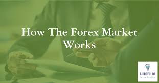 How to build a $1,500 financial literacy lab at your school. How The Forex Market Works