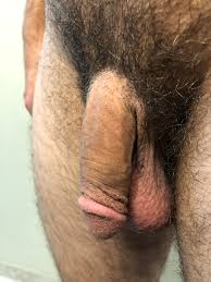 Soft and hairy : penis