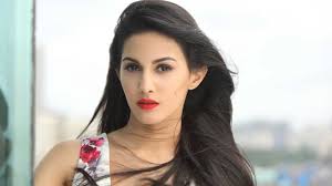 Cg5 — i see a dreamer (dream team original song). Amyra Dastur I Am An Absolute Dreamer Interview Latest Updates From Bollywood Movie Reviews Box Office Collection Actor Actress News Updates Mango Bunch