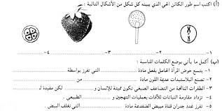 نشرت وزارة التربية والتعليم ملف بي دي اف مكون من امتحان الاحياء للصف الأول الثانوي 2021 للامتحان السابق ،علي صفحتها الرسمية لتدرب الطلاب علي امتحان الثانوية ولتحميل امتحان الأحياء اضغط هنا. Ø¨Ù†Ùƒ Ø§Ù„Ø§Ø³Ø¦Ù„Ø© Ù…Ø§Ø¯Ø© Ø§Ù„Ø£Ø­ÙŠØ§Ø¡ Ø§Ù„Ø¬Ø²Ø¡ Ø§Ù„Ø§ÙˆÙ„
