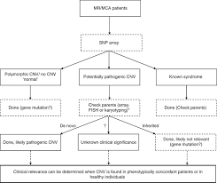 flow chart for the new diagnostic approach to patients with