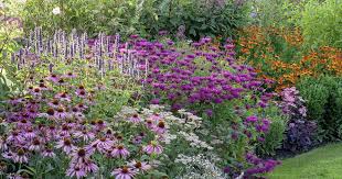 Trendige Stauden Kombinationen Stauden Mehrjahrige Pflanzen Winterharte Stauden