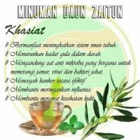 Manfaatnya yang sangat banyak bagi kecantikan, membuat minyak ini menjadi salah satu produk favorit untuk perawatan wajah dan kulit. Jual Teh Daun Zaitun Terdekat Harga Murah Grosir July 2021