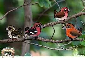 The pesquet's parrot is a large species of parrot found in new guinea rainforest habitat. Birdorable Bonanza Finch Invasion Birdorable Blog