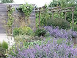 onderhoudsvrije tuinen all in tuinen tuin onderhoudsvriendelijke tuin tuin ideeen