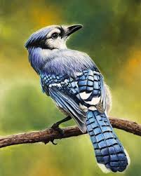 Birds That Start With Blue Pin On 01 Journal Drawing