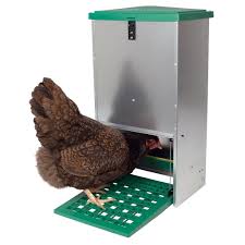 Outdoor Treadle Action Feeder - Hoofsandpaws Online Store