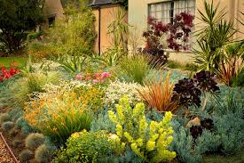 Beverly Grove, Monet Landscape -Front Yard - Mediterranean - Landscape -  Los Angeles - by Bosler Earth Design | Houzz