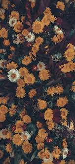 Download the perfect aesthetic pictures. Flower Desktop Wallpaper Tumblr