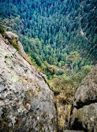 Maybe you would like to learn more about one of these? La Escultorica Belleza De La Coconetla En Los Dinamos Fotos