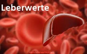 Es wird daher auch als differentialblutbild bezeichnet. á Laborwerte Blutwerte Blutbild Und Befunde Richtig Verstehen
