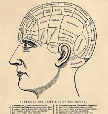 Vintage Phrenology Chart Handmade Loves