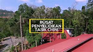 You will hear birds chirping and between two lotus, you will squash a starving mosquito. Pusat Penyelidikan Tasik Chini Pptc Youtube