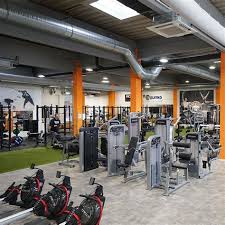 Andere populaire sportscholen zijn fit for free en big gym. Gym Basic Fit Condesa Home Facebook