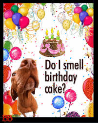 I offer curtains in two (2) sizes: Pin On Happy Birthday