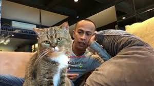 We did not find results for: Free My Little Heroes Yusuf And Bujibu Episode 4 Watch Online Khatrimaza