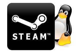 Steam For Linux Now Lets You Play Windows Games From Other Stores
