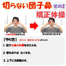 鼻の歪みを小顔矯正で矯正する際の３つのポイントとは 小顔矯正 整体を東京でお探しならrevision 鼻 鼻 矯正 鼻中隔