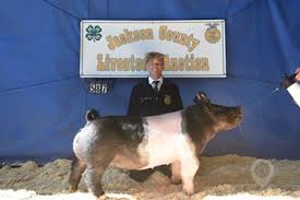 KURTIS JACKSON- EAGLE POINT FFA Livestock Auction Results