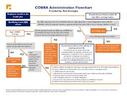 cobra administration flow chart tikia consulting group inc