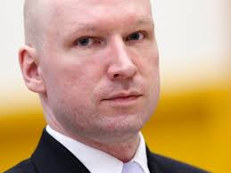 Über den geisteszustand des massenmörders breivik diskutiert ganz norwegen. Sachbuch Buch Uber Anders Breivik Erschienen