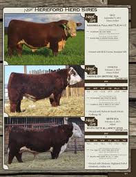 In this page you will find a lot in this page you will find a lot off julia_star_sessions_25 content uploaded today. Harvie Ranching S 6th Annual Bull Sale 2015 By Today S Publishing Inc Issuu