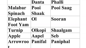 Vegetables Fruits Names In English Bengali And Hindi Presented By Va Fruit Names Fruits Name In English Fruits And Vegetables Names