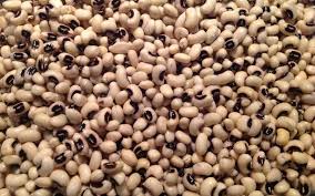 La preparazione dei fagioli dall'occhio nero richiede un ammollo di 12 ore e una cottura lunga, ricorriamo alla pentola a pressione per abbreviarne i tempi. Fagioli Dell Occhio Un Incredibile Bonta Culinaria Itlendinara