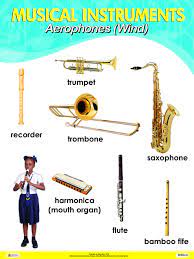 Aerophones Or Wind Instruments Indian Musical Instruments Musical Instruments Music Stuff