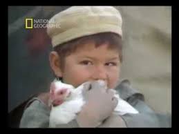 Youtube National Geographic 11 Eylul Eylul