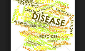 We did not find results for: Kumpulan Nama Penyakit Dalam Bahasa Inggris Dan Terjemahannya