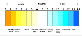 Uses And Properties Of Acids And Bases All You Need To