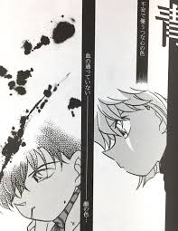 ☆名探偵コナン同人誌☆江戸川コナン×灰原哀