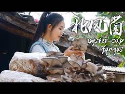 Fungus Favorite Ingredient Of Yunnan People Youtube In 2021 Chinese Cooking International Recipes Asian Recipes