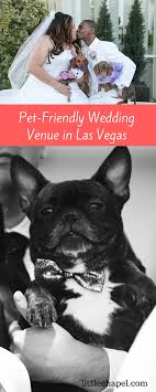 Vegas Wedding Venues That Allow Dogs And Cats Find Out Which Wedding Chapel Is Pet Friendly Alo Vegas Wedding Venue Vegas Themed Wedding Pet Friendly Weddings