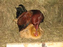 OurDream ai Releases AI Porno Creator | Costa Careers