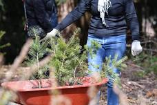 Stewardship at Adriana Hess Park