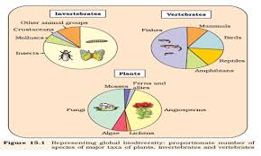 Chapter 15 Rajkumar Biology A Guide For 11th 12th Cbse