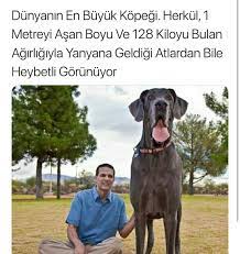 aydan adli kullanicinin hayat panosundaki pin 2020 bilgi karti gizli bilgi biliyor muydunuz