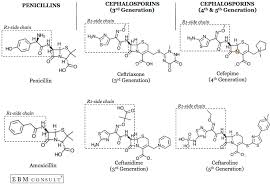 Penicillin And Cephalosporin Cross Reactivity And Risk For