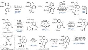 Image result for Tricalysia niamniamensis