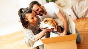 Hours may change under current circumstances Moving Pets To Hawaii Frequently Asked Questions Faq Hawaii Real Estate Market Trends Hawaii Life