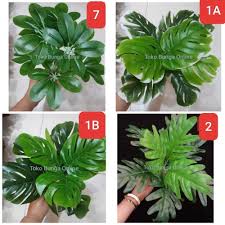 Ini aspek penting yang harus anda perhatikan. Jual Daun Plastik Artificial Tanaman Hias Palsu Plastik Dekorasi 3 Kota Surabaya Toko Bunga Online Tokopedia