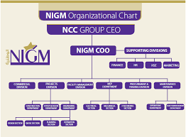 Nigm Llc